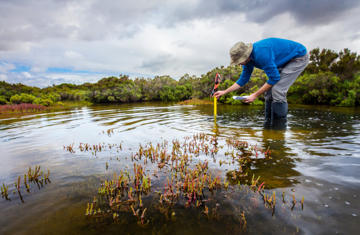 Scientist measuring water depth to install water level data loggers in a coastal wetland  to understand inundation period and impact on ecosystem services.